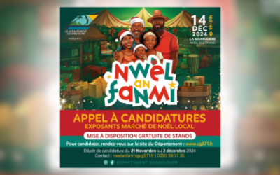 Appel à Candidature: Nwel an Fanmi 2024