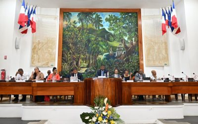 1ère réunion plénière 2025 : Débat d’Orientations Budgétaires du Conseil départemental de la Guadeloupe